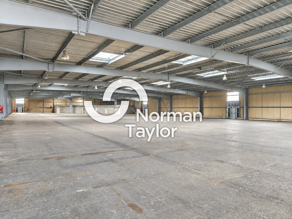 NORMAN TAYLOR PAYS BASQUE LOCATION-LOCAL D'ACTIVITE-BAYONNE-64