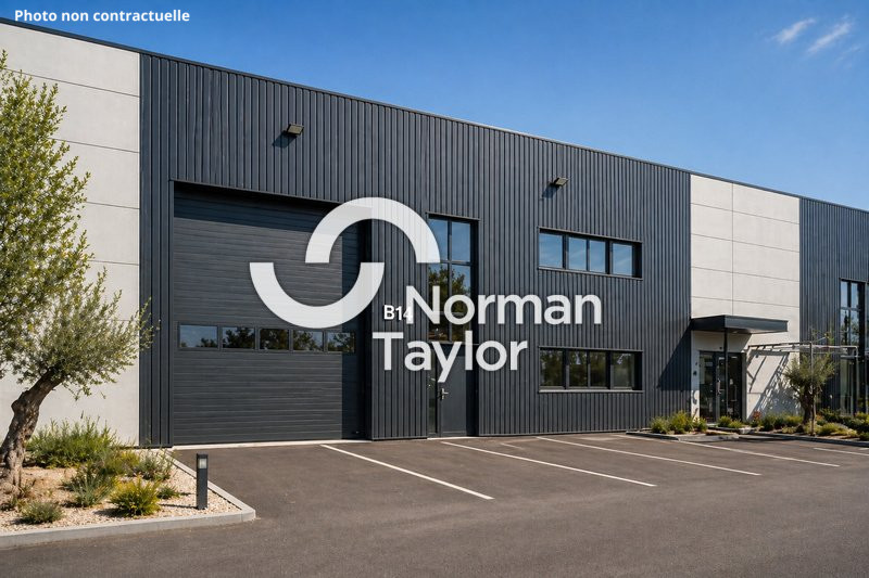 NORMAN TAYLOR MONTPELLIER LOCATION-LOCAL D'ACTIVITE-VENDARGUES-34