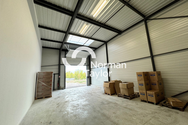 NORMAN TAYLOR MONTPELLIER LOCATION-LOCAL D'ACTIVITE-LUNEL-34
