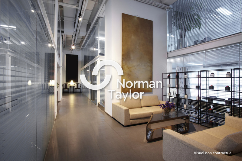 NORMAN TAYLOR MONTPELLIER LOCATION-BUREAUX-BEZIERS-34