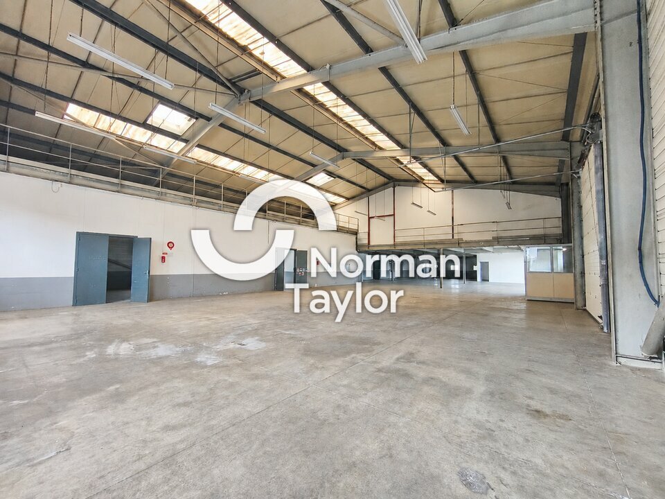 NORMAN TAYLOR PAYS BASQUE LOCATION-LOCAL D'ACTIVITE-ANGLET-64