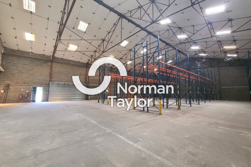 NORMAN TAYLOR MONTPELLIER LOCATION-LOCAL D'ACTIVITE-BEZIERS-34