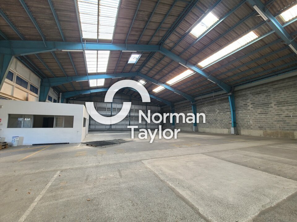 NORMAN TAYLOR PAYS BASQUE LOCATION-LOCAL D'ACTIVITE-HENDAYE-64