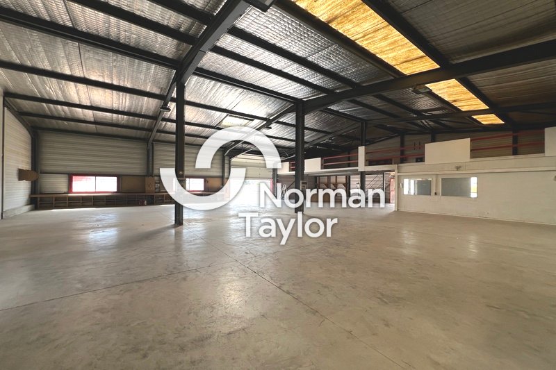 NORMAN TAYLOR MONTPELLIER VENTE-LOCAL D'ACTIVITE-PERPIGNAN-66