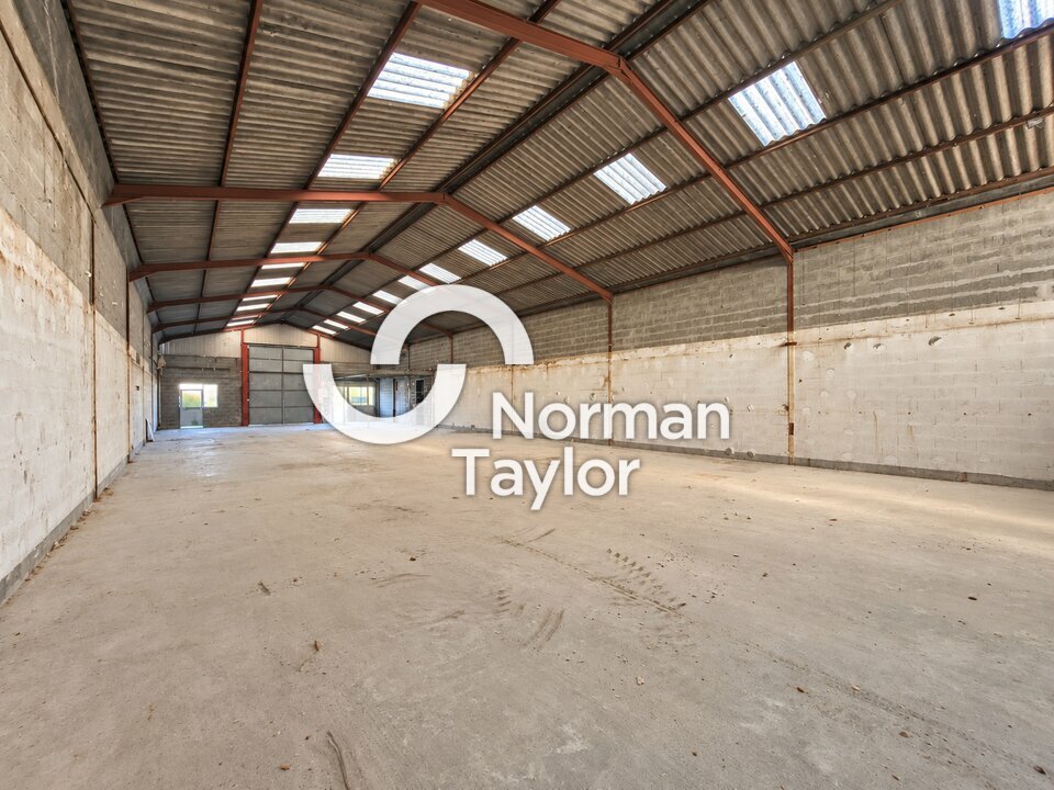 NORMAN TAYLOR PAYS BASQUE LOCATION-LOCAL D'ACTIVITE-BAYONNE-64