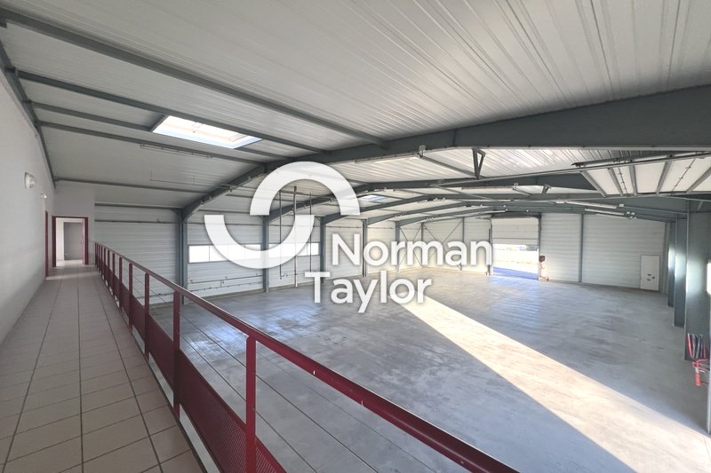 NORMAN TAYLOR MONTPELLIER LOCATION-LOCAL D'ACTIVITE-PERPIGNAN-66