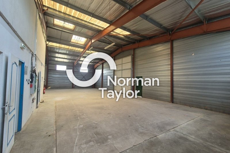 NORMAN TAYLOR MONTPELLIER LOCATION-LOCAL D'ACTIVITE-BEZIERS-34