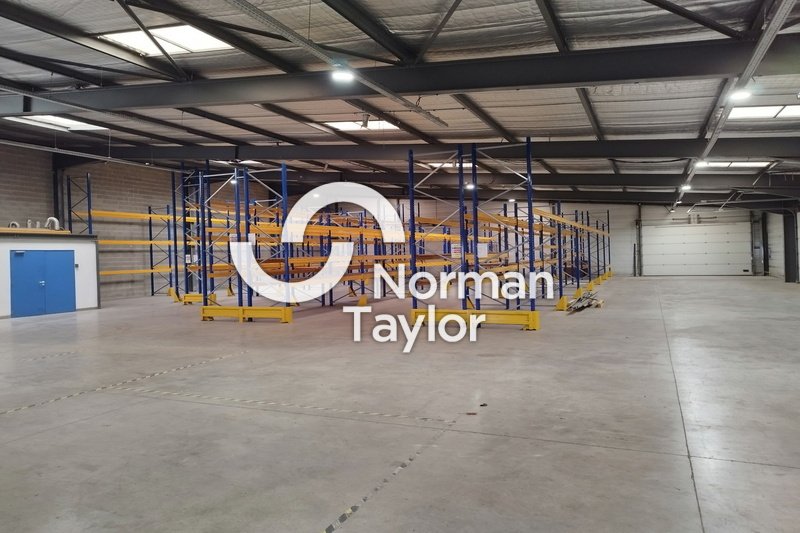 NORMAN TAYLOR MONTPELLIER LOCATION-LOCAL D'ACTIVITE-MEZE-34