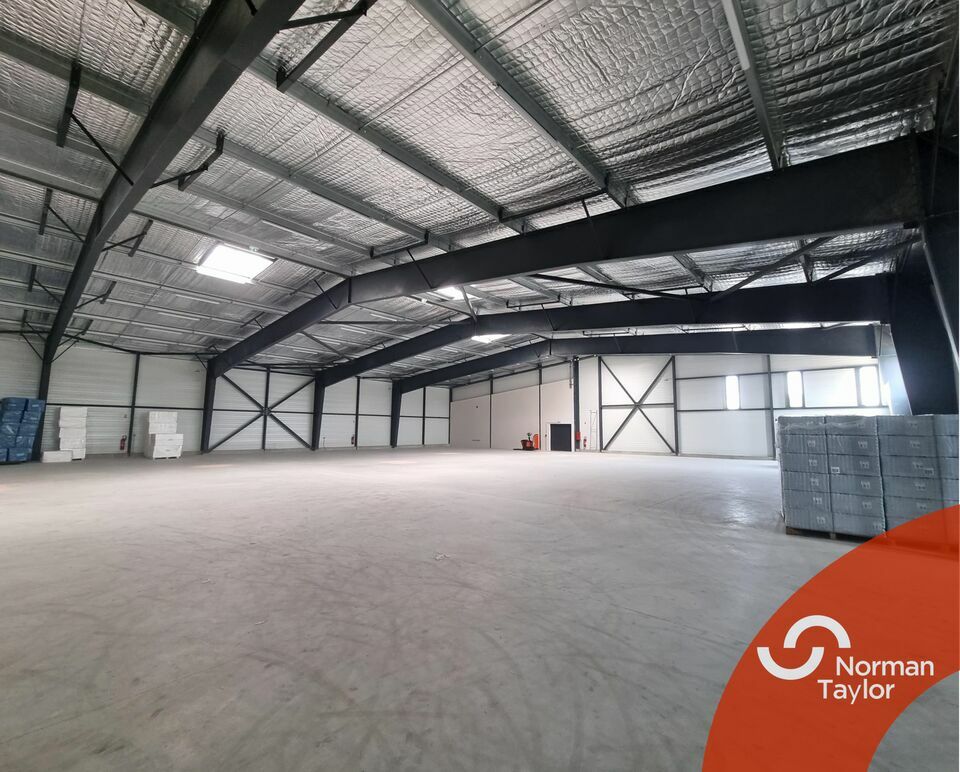 NORMAN TAYLOR MONTPELLIER LOCATION-LOCAL D'ACTIVITE-PERPIGNAN-66