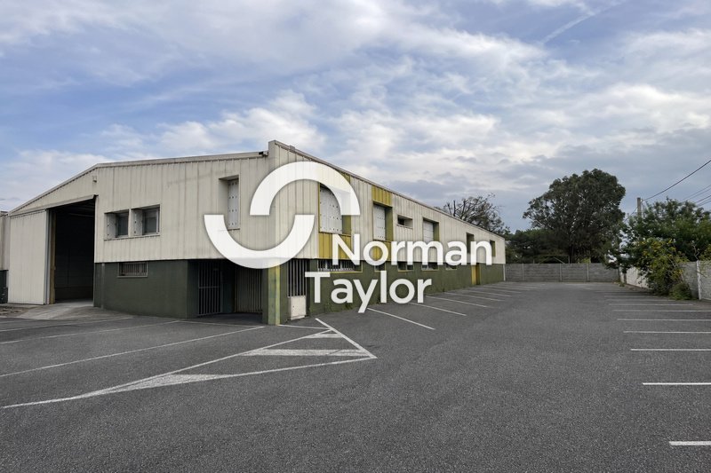 NORMAN TAYLOR MONTPELLIER VENTE-LOCAL D'ACTIVITE-PERPIGNAN-66