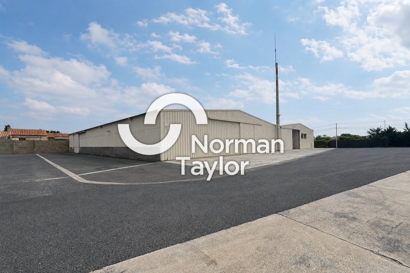 NORMAN TAYLOR MONTPELLIER VENTE-LOCAL D'ACTIVITE-PERPIGNAN-66
