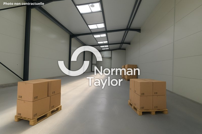 NORMAN TAYLOR MONTPELLIER LOCATION-LOCAL D'ACTIVITE-MONTPELLIER-34