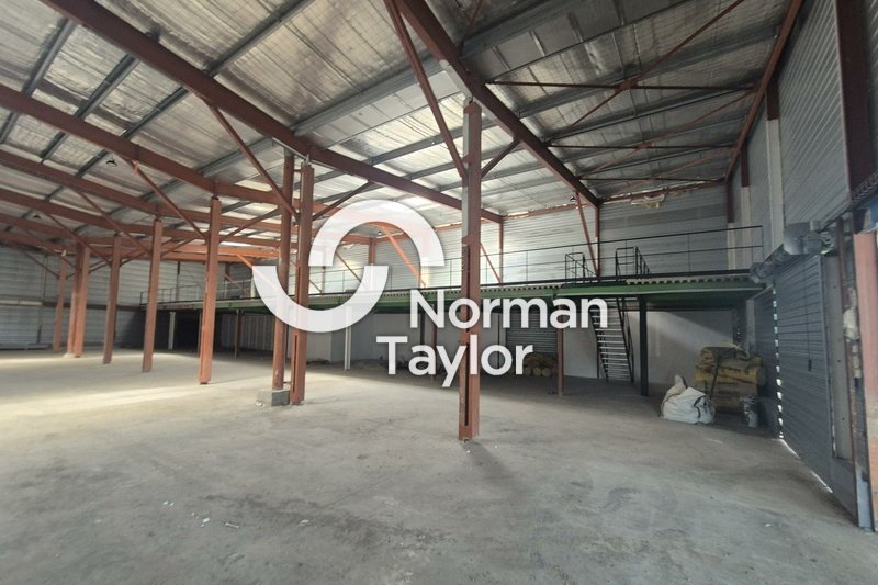 NORMAN TAYLOR MONTPELLIER LOCATION-LOCAL D'ACTIVITE-BEZIERS-34