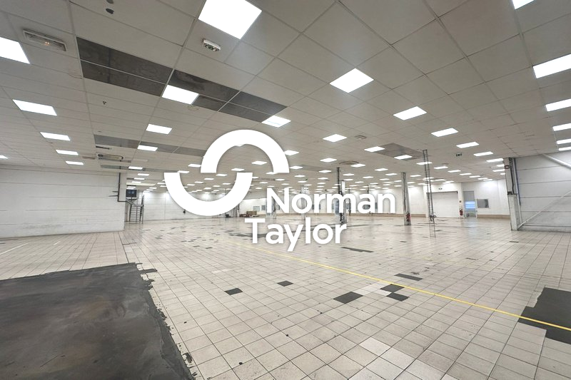 NORMAN TAYLOR MONTPELLIER VENTE-LOCAL D'ACTIVITE-MONTPELLIER-34