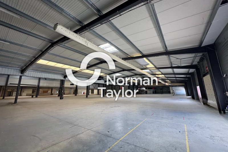 NORMAN TAYLOR MONTPELLIER VENTE-LOCAL D'ACTIVITE-JACOU-34