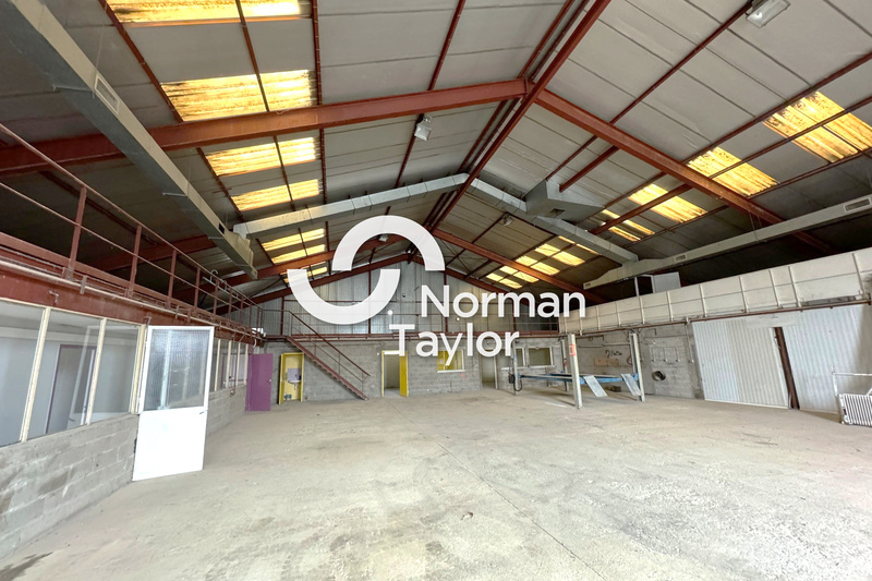 NORMAN TAYLOR MONTPELLIER LOCATION-LOCAL D'ACTIVITE-ALES-30