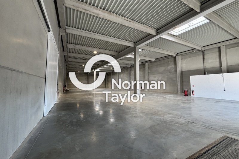 NORMAN TAYLOR MONTPELLIER LOCATION-LOCAL D'ACTIVITE-MONTPELLIER-34