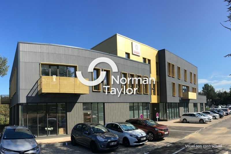 NORMAN TAYLOR LYON VENTE-BUREAUX-SAINT_GENIS_LAVAL-69