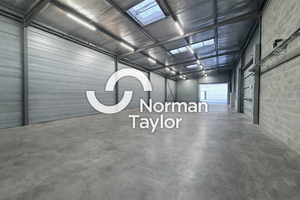 NORMAN TAYLOR PAYS BASQUE LOCATION-LOCAL D'ACTIVITE-SAINT-MARTIN-DE-SEIGNANX-40