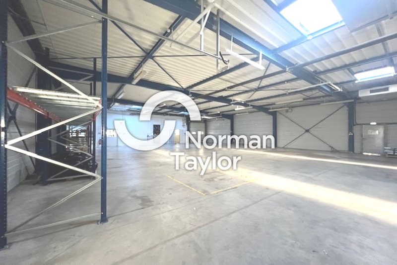 NORMAN TAYLOR MONTPELLIER VENTE-LOCAL D'ACTIVITE-PERPIGNAN-66