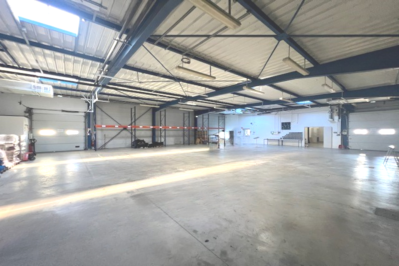 NORMAN TAYLOR MONTPELLIER VENTE-LOCAL D'ACTIVITE-PERPIGNAN-66