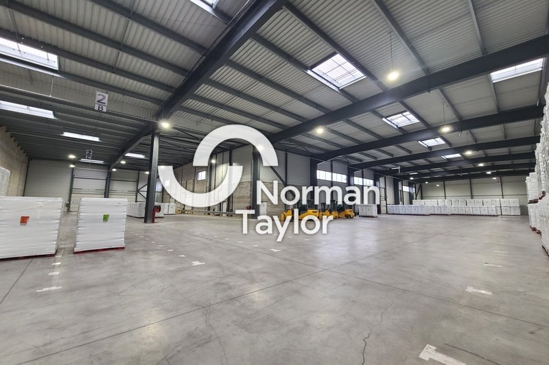 NORMAN TAYLOR MONTPELLIER VENTE-ENTREPOT-BEZIERS-34