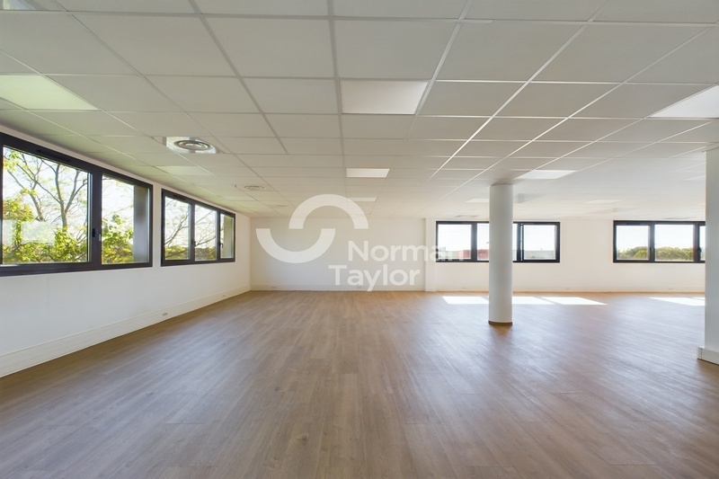 NORMAN TAYLOR MONTPELLIER LOCATION-BUREAUX-MONTPELLIER-34