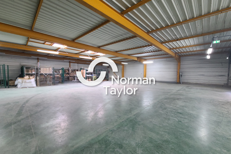 NORMAN TAYLOR MONTPELLIER LOCATION-LOCAL D'ACTIVITE-BEZIERS-34