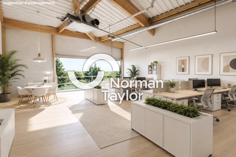 NORMAN TAYLOR MONTPELLIER VENTE-BUREAUX-VILLENEUVE_LES_MAGUELONE-34