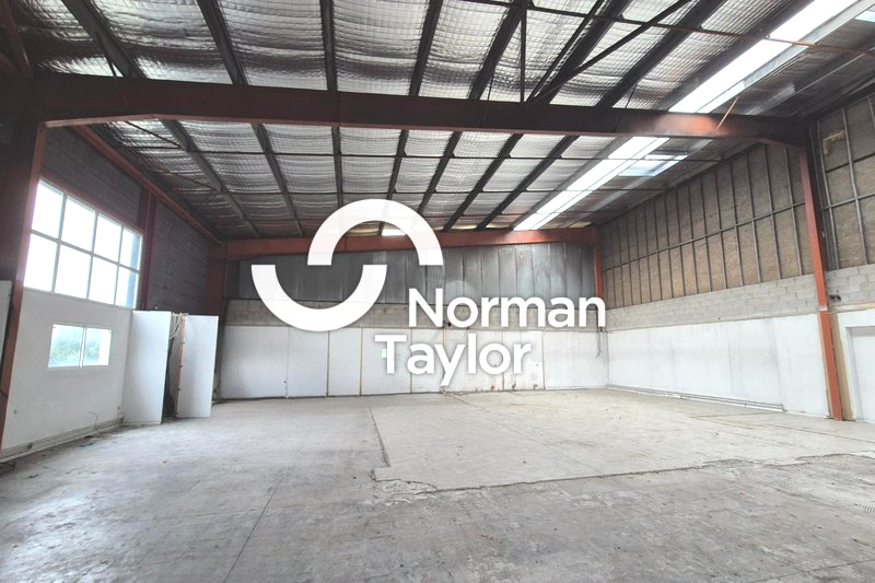 NORMAN TAYLOR MONTPELLIER LOCATION-LOCAL D'ACTIVITE-BEZIERS-34