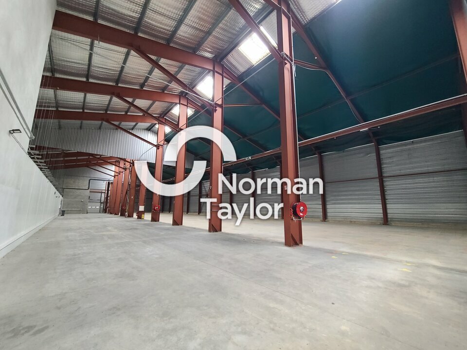 NORMAN TAYLOR PAYS BASQUE VENTE-LOCAL D'ACTIVITE-PEYREHORADE-40