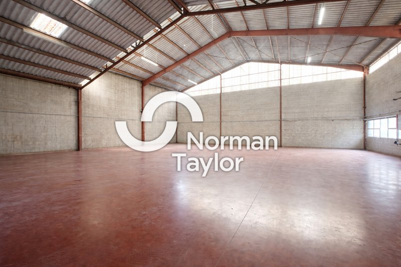 NORMAN TAYLOR MONTPELLIER VENTE-LOCAL D'ACTIVITE-PERPIGNAN-66
