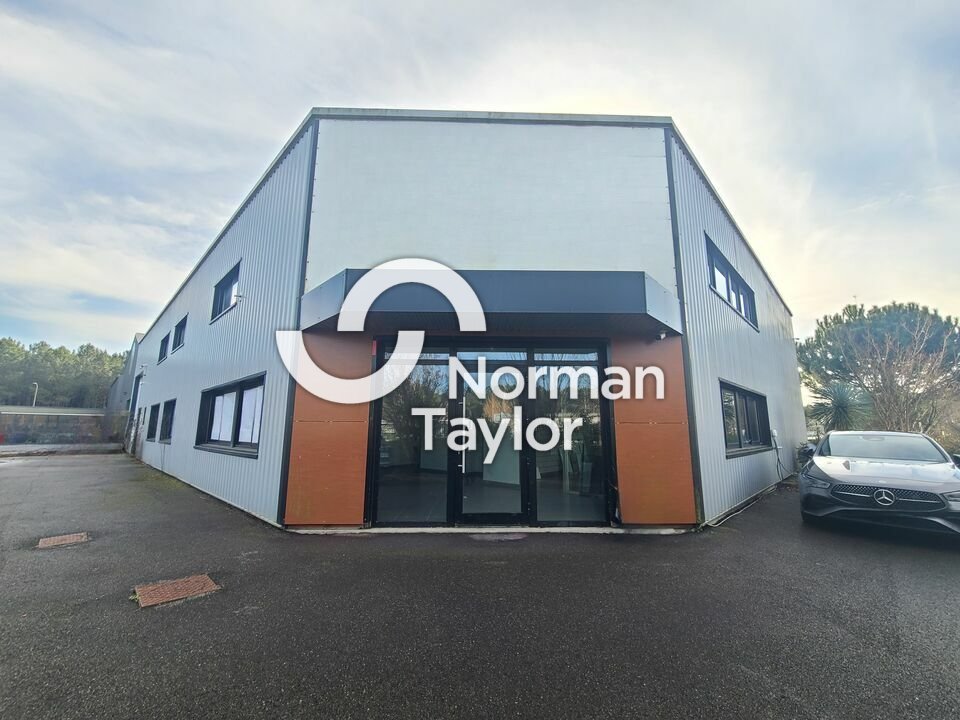 NORMAN TAYLOR PAYS BASQUE VENTE-LOCAL D'ACTIVITE-SEIGNOSSE-40