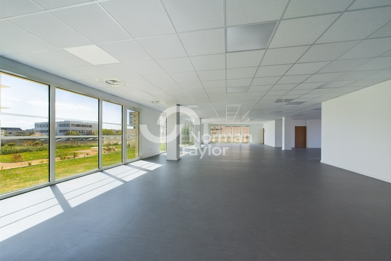 NORMAN TAYLOR MONTPELLIER LOCATION-BUREAUX-MONTPELLIER-34