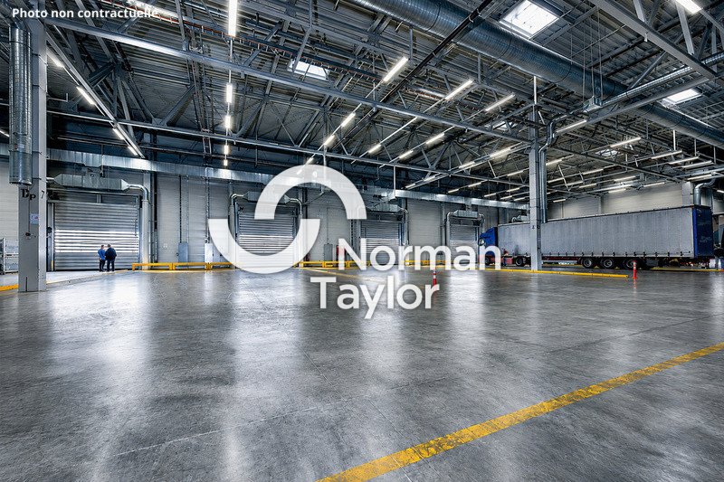 NORMAN TAYLOR MONTPELLIER LOCATION-LOCAL D'ACTIVITE-NIMES-30