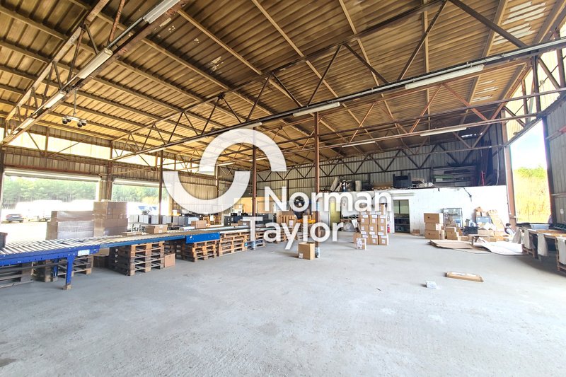 NORMAN TAYLOR PAYS BASQUE VENTE-LOCAL D'ACTIVITE-MAGESCQ-40