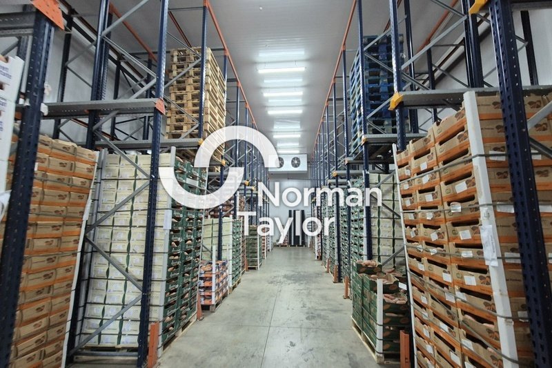 NORMAN TAYLOR MONTPELLIER VENTE-LOCAL D'ACTIVITE-PERPIGNAN-66