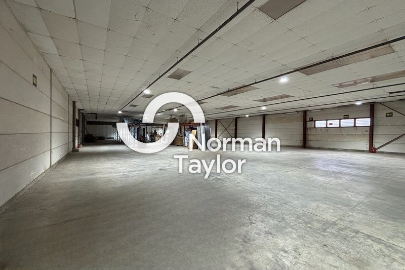 NORMAN TAYLOR MONTPELLIER LOCATION-LOCAL D'ACTIVITE-COURNONSEC-34