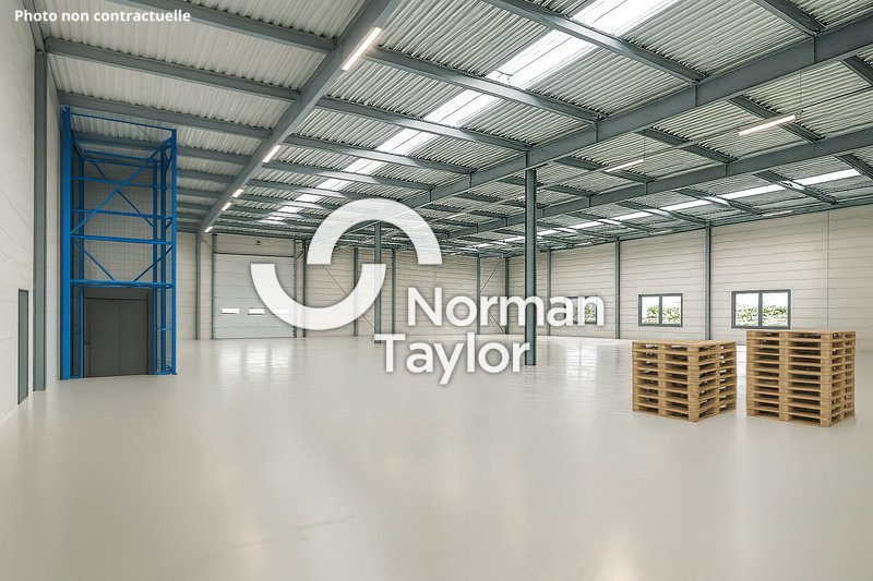 NORMAN TAYLOR MONTPELLIER LOCATION-LOCAL D'ACTIVITE-SAINT_JEAN_DE_VEDAS-34