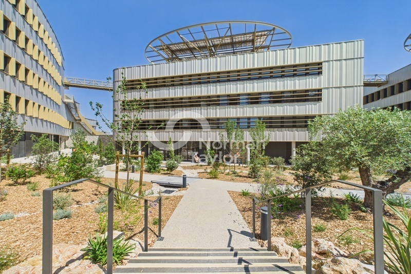 NORMAN TAYLOR MONTPELLIER VENTE-BUREAUX-CASTELNAU_LE_LEZ-34