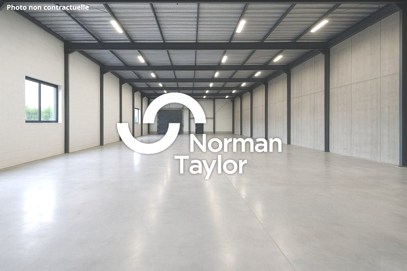 NORMAN TAYLOR MONTPELLIER LOCATION-LOCAL D'ACTIVITE-MONTPELLIER-34
