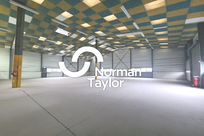 NORMAN TAYLOR MONTPELLIER LOCATION-LOCAL D'ACTIVITE-BEZIERS-34