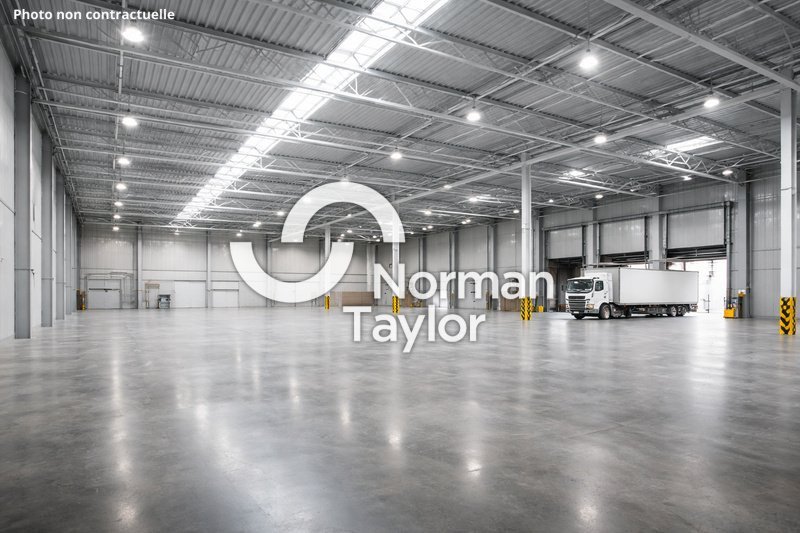 NORMAN TAYLOR MONTPELLIER LOCATION-LOCAL D'ACTIVITE-GALLARGUES-LE-MONTUEUX-30
