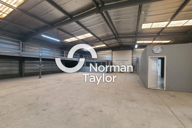 NORMAN TAYLOR MONTPELLIER LOCATION-LOCAL D'ACTIVITE-NARBONNE-11
