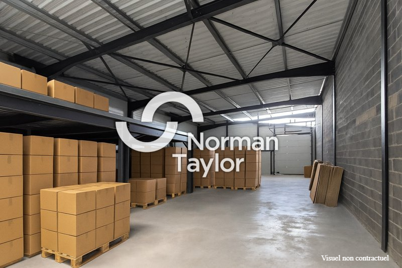 NORMAN TAYLOR MONTPELLIER LOCATION-LOCAL D'ACTIVITE-PERPIGNAN-66