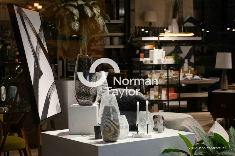 NORMAN TAYLOR MONTPELLIER LOCATION-LOCAL COMMERCIAL-ONET-LE-CHATEAU-12