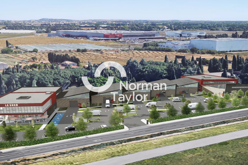 NORMAN TAYLOR MONTPELLIER LOCATION-LOCAL D'ACTIVITE-MONTPELLIER-34