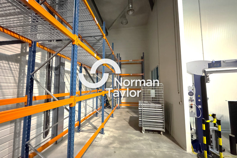 NORMAN TAYLOR MONTPELLIER LOCATION-LOCAL D'ACTIVITE-MONTPELLIER-34