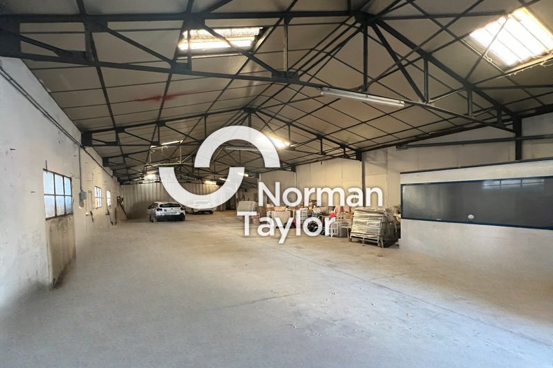 NORMAN TAYLOR MONTPELLIER LOCATION-LOCAL D'ACTIVITE-PERPIGNAN-66