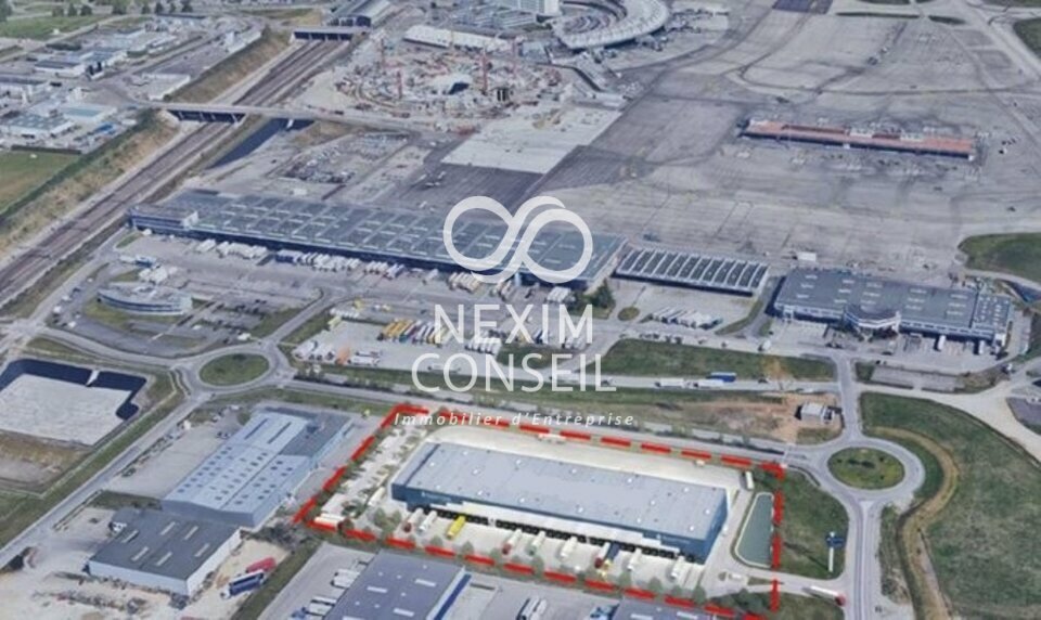 NEXIM CONSEIL LOCATION-LOCAL D'ACTIVITE-LYON-69